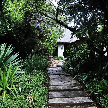 Birch Tree Cottage Γιοχάνεσμπουργκ Εξωτερικό φωτογραφία