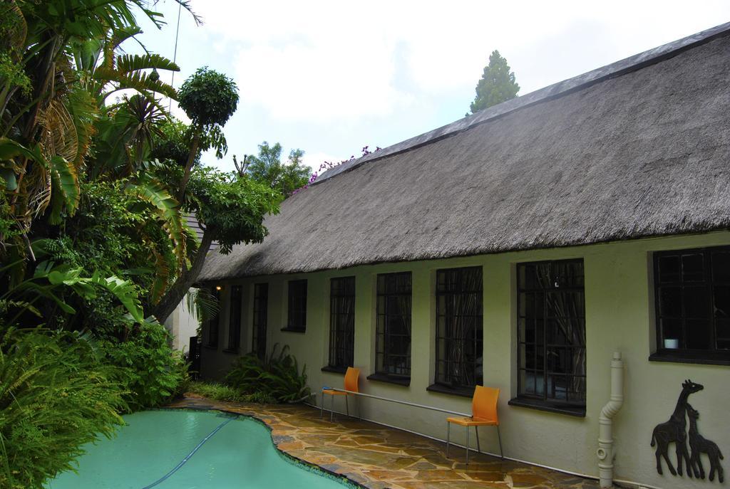Birch Tree Cottage Γιοχάνεσμπουργκ Εξωτερικό φωτογραφία