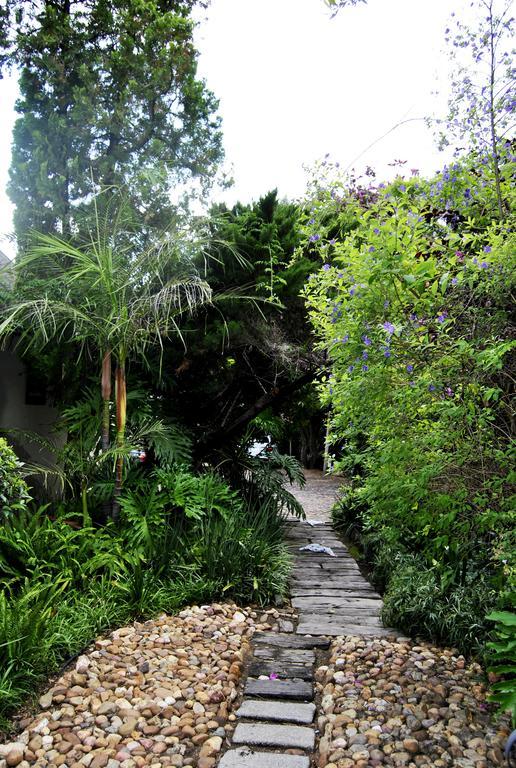 Birch Tree Cottage Γιοχάνεσμπουργκ Εξωτερικό φωτογραφία
